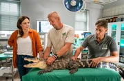 V.l.n.r.: Dr. Susanne Mertens (Elisabeth Lanz), Tierpfleger Marco (Komparse) und Cheftierpfleger Conny Weidner (Thorsten Wolf) sorgen sich um die trächtige Krokodildame Bianca. V.l.n.r.: Dr. Susanne Mertens (Elisabeth Lanz), Tierpfleger Marco (Komparse) und Cheftierpfleger Conny Weidner (Thorsten Wolf) sorgen sich um die trächtige Krokodildame Bianca.