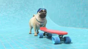 Mike hat eine neue Idee: Wenn das Pool leer ist, nutzt er es eben als Skater-Bowl. Kann er Stella als Skateboarder begeistern?
