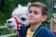 Liam (Nils Hofschneider) macht seine erste Alpakatour.