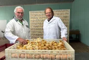 Vorkoster Björn Freitag (r.) zu Gast in der Brüterei von Werner Hockenberger (l.).