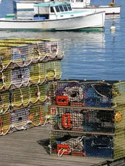 Brightly colored lobster traps and harbor view,