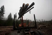Ax men Season2 Clash of the Titans, Ax Men Staffel2 Aufholjagd Truck being loaded with logs..