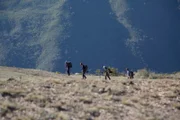 As seen on Episode 215 of Season 2B's Treasure Quest: Snake Island.