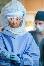 Christina Chang (Dr. Audrey Lim).