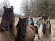 Auf Außentermin: Kurator Dr. Günther Schleussner und Tierpflegerin Ramona Schiele holen Dülmener Pferde für den Schaubauernhof der Wilhelma. Aber ob sich die Tiere auch mit den dortigen Bewohnern verstehen, ist zu sehen in einer neuen Folge von Eisbär, Affe & Co.