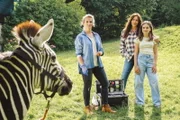 Frühling - Ein Zebra im Gepäck Sarah Vinocur als Tierärztin, Simone Thomalla als Katja Baumann, Lilli Schweiger als Lotti Zerbe