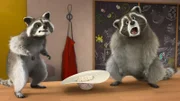 Auch Freddy und Mercury wollen Stellas Hut haben.