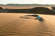 Das Leben in der Namib-Wüste ist für Tiere und Pflanzen eine Herausforderung: Temperaturen von bis zu 50 Grad und eine jährliche Niederschlagsmenge von nur wenigen Millimetern machen ihnen zu schaffen.