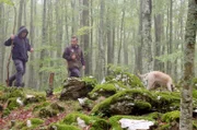 Giovanni Mariconda (li.), Mario Preziosi (re.) und Hund Lila suchen Schwarztrüffel in den Wäldern von Bagnoli.
