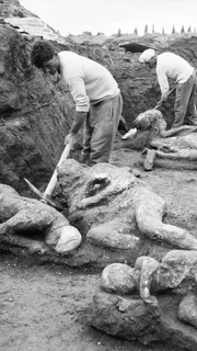 In der Geschichte der Menschheit tauchen immer wieder gigantische Vulkanausbrüche und die tragische Geschichte derer auf, die sich nicht rechtzeitig vor Lava, Asche und giftigen Gasen retten können. 1961 wurden mumifizierte Leichen am Vesuv, Italien, aus dem Jahr 79 n.Chr. gefunden.