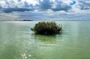 Im Herbst und Winter verwandelt sich der Balaton in eine romantische, unberührte Naturlandschaft.
