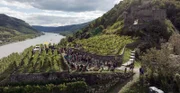 Weinfest in der Wachau.