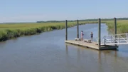 Zwei Lehrer aus Chicago lernen James Island während einer Ferienreise nach Charleston kennen. Sie wissen sofort: Das ist der perfekte Ort, um eine Familie zu gründen! Sie schätzen die Nähe zur Großstadt genauso wie zu den Stränden, Bauernhöfen und sogar einem Platz für Ziegen-Yoga. Sie wünschen sich ein renoviertes Haus mit großem Garten und einer abgeschirmten Veranda, um das Wetter genießen zu können.
