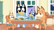 L-R: Bingo, Bandit, Bluey und Chilli