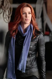 Ein junger Arbeiter wurde ermordet. Die Ermittlungen führen Al und Carrie (Poppy Montgomery) nicht nur zu einer Serie von Diebstählen, sondern auch in das harte Baugewerbe, das oft auch am Gesetz vorbei geführt wird ... Ein junger Arbeiter wurde ermordet. Die Ermittlungen führen Al und Carrie (Poppy Montgomery) nicht nur zu einer Serie von Diebstählen, sondern auch in das harte Baugewerbe, das oft auch am Gesetz vorbei geführt wird ...