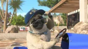 Mike versucht Stück für Stück alle Verdächtigen auszuschließen. Doch ein richtiger Polizeihund tritt natürlich auch betont lässig auf. Das soll Stella natürlich sehen.