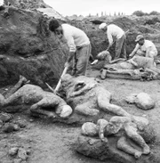 In der Geschichte der Menschheit tauchen immer wieder gigantische Vulkanausbrüche und die tragische Geschichte derer auf, die sich nicht rechtzeitig vor Lava, Asche und giftigen Gasen retten können. 1961 wurden mumifizierte Leichen am Vesuv, Italien, aus dem Jahr 79 n.Chr. gefunden.; Vulkane - Vesuv, 1961 mit Vulkanopfen aus dem Jahr 79 n.Chr.