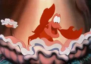 Sebastian, die Krabbe