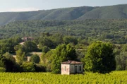 An rund 200 Tagen im Jahr weht der starke Fallwind von den Gipfeln des mächtigen Mont Ventoux und formt die Landschaft der Provence.