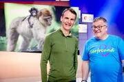Verhaltensbiologe Dr. Roland Hilgartner (links) leitet den Affenberg in Salem und ist heute zu Gast im Studio.