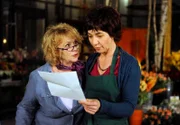 ARD ROTE ROSEN FOLGE 1515, am Dienstag um 14:10 Uhr im ERSTEN. Merle (Anja Franke, r.) erfährt überrascht, dass sie mit einer Unbekannten zusammen geerbt hat (mit Madeleine Lierck-Wien, l.).