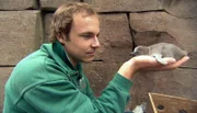 ARD/NDR LEOPARD, SEEBÄR & CO., FOLGE 129, Tierpfleger Dave Nelde bei der Pinguininventur.