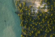 Die Unterwasserwelt an der Küste Mosambiks bietet Lebensraum für unzählige Meeresbewohner.