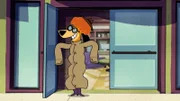 Augie Doggie.