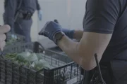CBP-Aufsichtsbeamter Ramirez untersucht Bündel mit mutmaßlichen Betäubungsmitteln, die in einer Ladung von Jalapeños gefunden wurden, die den Pharr Port of Entry passieren sollte. (National Geographic)