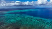 Das Great Barrier Reef besteht aus fast 3000 Einzelriffen und ist sogar aus dem Weltall sichtbar – die größte von Lebewesen erschaffene Struktur der Erde.