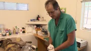 Zum Glück hat der Wildhund keine schwere Verletzung und darf zurück in sein Rudel.