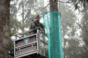 Vinzenz (Michael Sideris) hatte eine kreative Idee, wie man die Ausbreitung des Borkenkäferbefalles verhindern kann, ohne das Zuhause eines Spechts zu zerstören