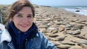 Anna besucht die See-Elefanten in Piedras Blancas, Kalifornien.