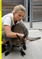 Tierpflegerin Anett kümmert sich um das kranke Känguru.