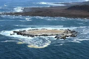 Die Insel Malgas beherbergt eine der größten Vogelkolonien Südafrikas. Der Name bedeutet auf Afrikaans „verrückte Gans“.