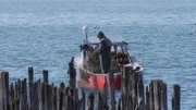 Die Bodensee-Fischer sind oft Familienbetriebe, wie Roland Stohr (links) und sein Vater.