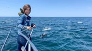 Anna inmitten einer Delfinschule mit 500 Tieren.