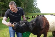 Alexander Herrmann mit Hans Heldrich und seinen Galloway-Rindern auf der Weide in Edelsfeld im Landkreis Amberg-Sulzbach in der Oberpfalz.