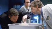 V.l.: Goren (Vincent D'Onofrio), Dr. Butler (Andrew Benator) und Dr. May (Jim DeMarse) ermitteln in einer Mordserie, bei der die Opfer alle aus nächster Nähe erschossen wurden.