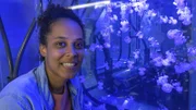 Die Quallen im Aquarium schwimmen in einem Kreisel mit abgerundeten Ecken. Wie im Meer werden sie von der Strömung bewegt.