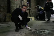 Vincent D'Onofrio
