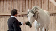 Der „Pferdeflüsterer“ Timo Ameruoso mit dem Hengst Chupito.