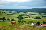Sechs Landfrauen, ein Oldtimerbus und ein Kochwettbewerb mit jeweils einem Drei-Gänge-Menü. Aussichtspanorama über Ibach, Landkreis Waldshut.