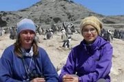 Mit Pinguinexpertin Jessica (links) zählt Anna mausernde Pinguine. Dadurch kann Jessica die Größe der Kolonie bestimmen.