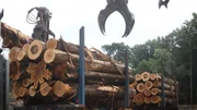 The loader in action.