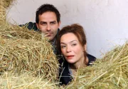 MDR Fernsehen DIE STEIN II. STAFFEL FOLGE 20, "Schein und Sein", am Sonntag (16.11.14) um 13:10 Uhr. Katja Stein (Julia Stemberger, r.) und Johann Hofer (Beat Marti, l.) haben den Reiterhof "verwüstet", um einen Investor abzuschrecken. Versteckt im Stall beobachten sie, ob ihr Werk erfolgreich war.