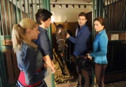 hr-fernsehen DIE STEIN (18), Neue Wege, 26-teilige Fernsehserie, Deutschland 2008 - 2011, am Montag (06.10.14) um 20:15 Uhr. Nach dem Ausritt von Nadja (Kiara Brunken, l.), und Joerg (Dorian Brunz, 2.v.l.) erkranken die beiden Pferde schwer. Johann Hofer (Beat Marti, 2.v.r.) und Katja Stein (Julia Stemberger, r.) stehen vor einem Rätsel.