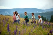 Sechs Landfrauen, ein Oldtimerbus und ein Kochwettbewerb mit jeweils einem Drei-Gänge-Menü. Die Landfrauen v.li.: Marion Groß, Sabrina Huber, Andrea Holzer, Katja Antony und Elke Haas auf dem Weg zum Aussichtspunkt entlang einer Kuhweide.