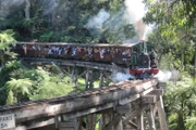 Das schönste Motiv in Victoria: Puffing Billy auf der Monbulk Creek Brigde.