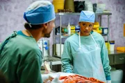 Ioan Gruffudd (Dr. Daniel Harrow), Faustina Agolley (Edwina Gharam).
